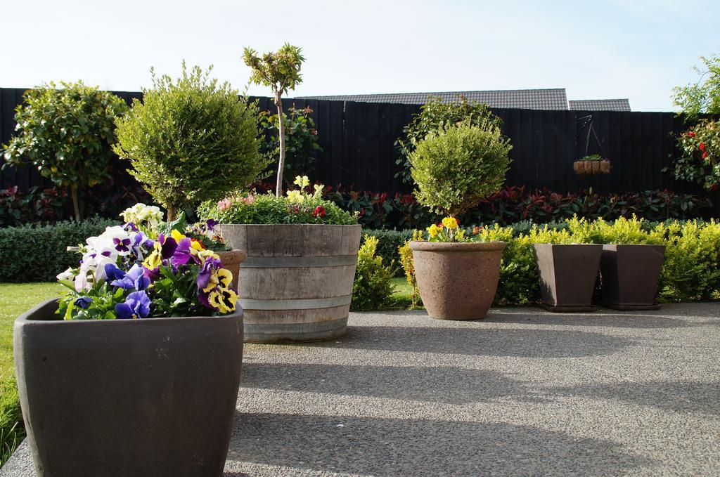 Olive House Bed And Breakfast Christchurch Exteriör bild