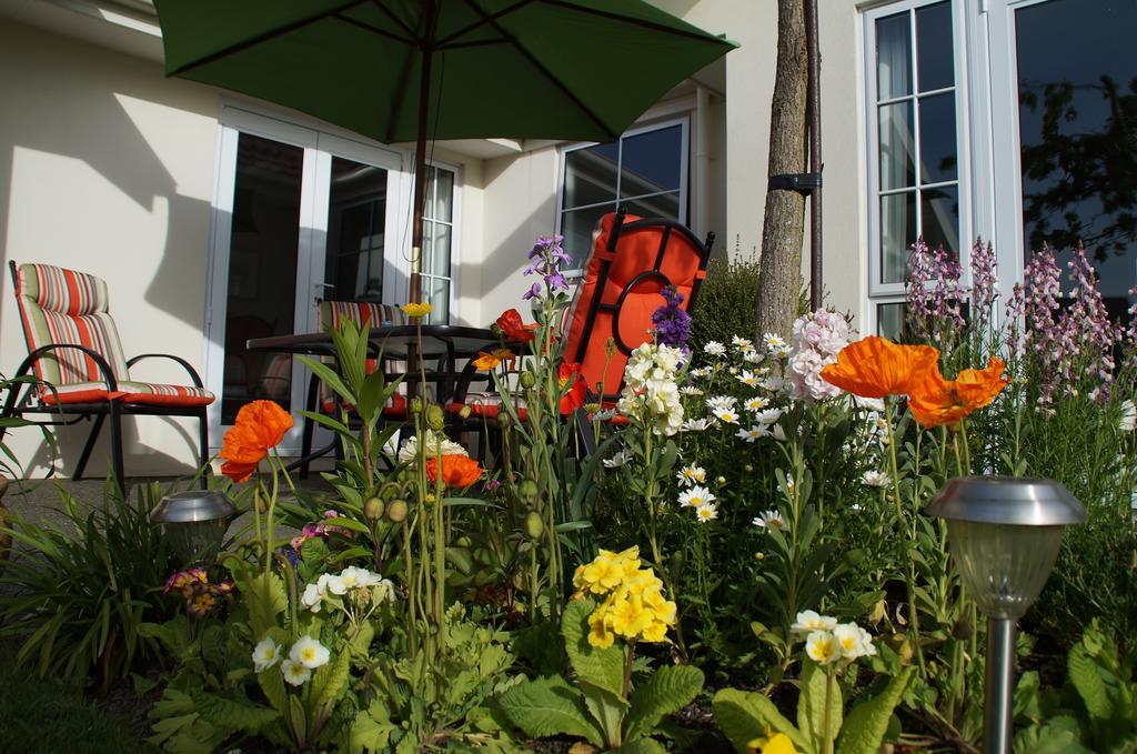 Olive House Bed And Breakfast Christchurch Exteriör bild