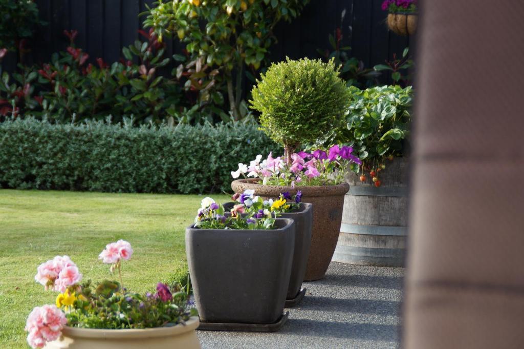 Olive House Bed And Breakfast Christchurch Exteriör bild