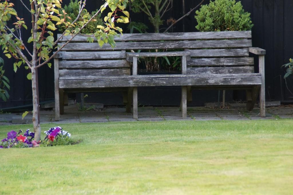 Olive House Bed And Breakfast Christchurch Exteriör bild