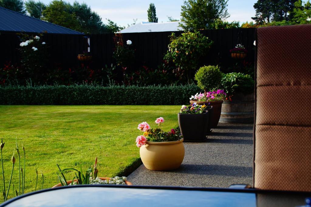 Olive House Bed And Breakfast Christchurch Exteriör bild